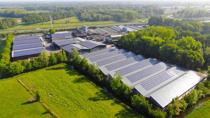 wooden flooring production